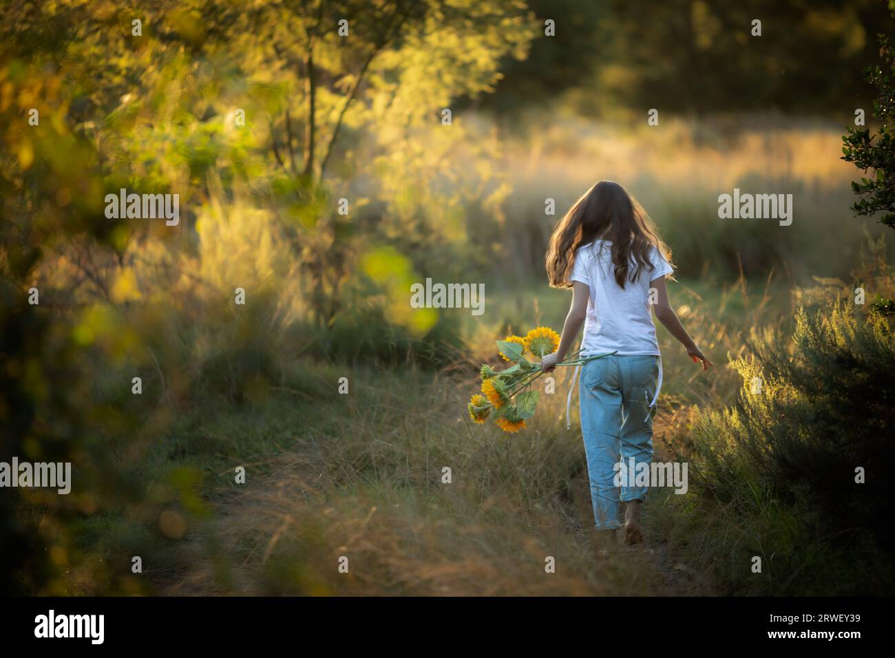 Rear view of a young girl walking through a field of long grass at sunset Stock Photo