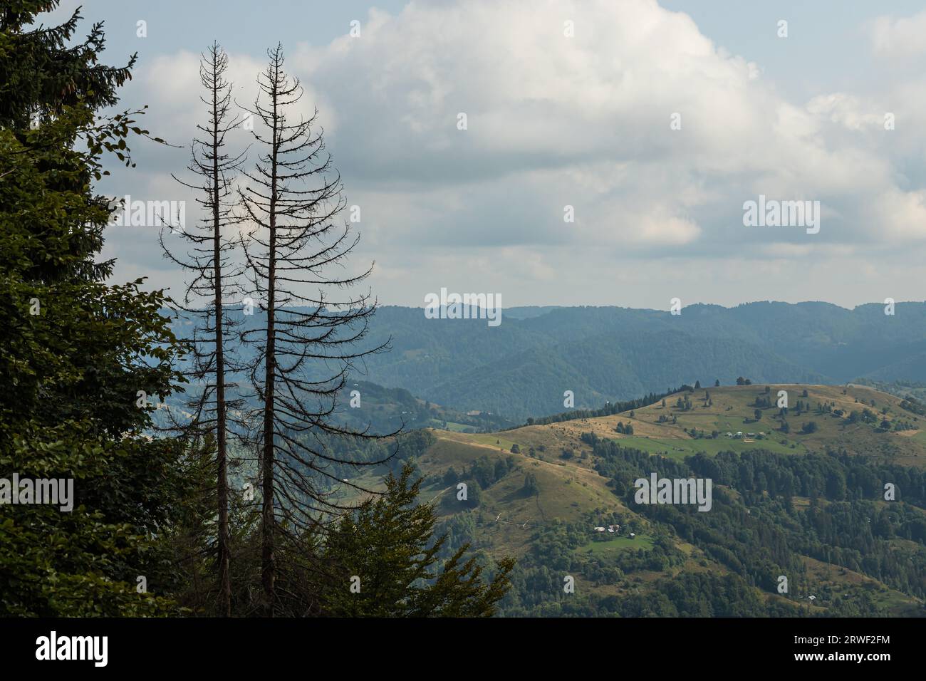 mountain slopes in the Ukrainian Carpathians. mountain tops and forests on a background of blue sky. Stock Photo