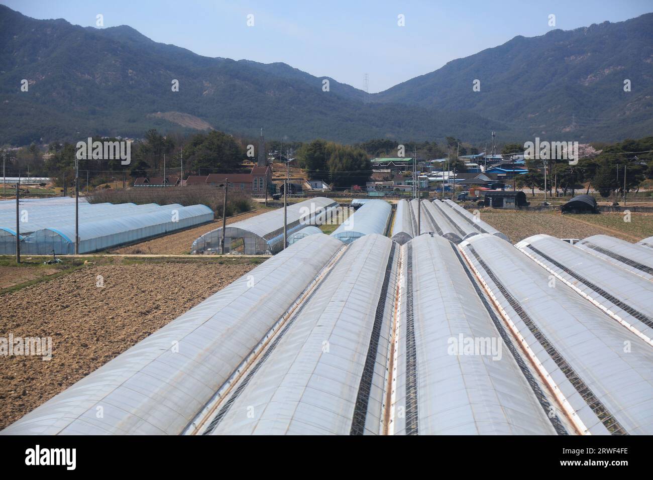 Greenhouse agriculture in South Korea. Agriculture in Imsil-gun, North Jeolla province. Stock Photo