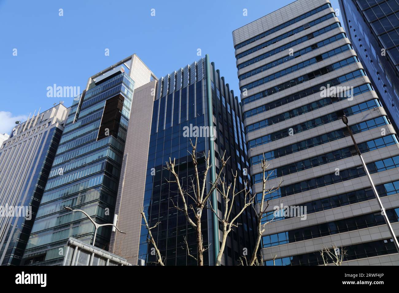 seoul-south-korea-skyline-of-teheran-ro-main-street-of-gangnam