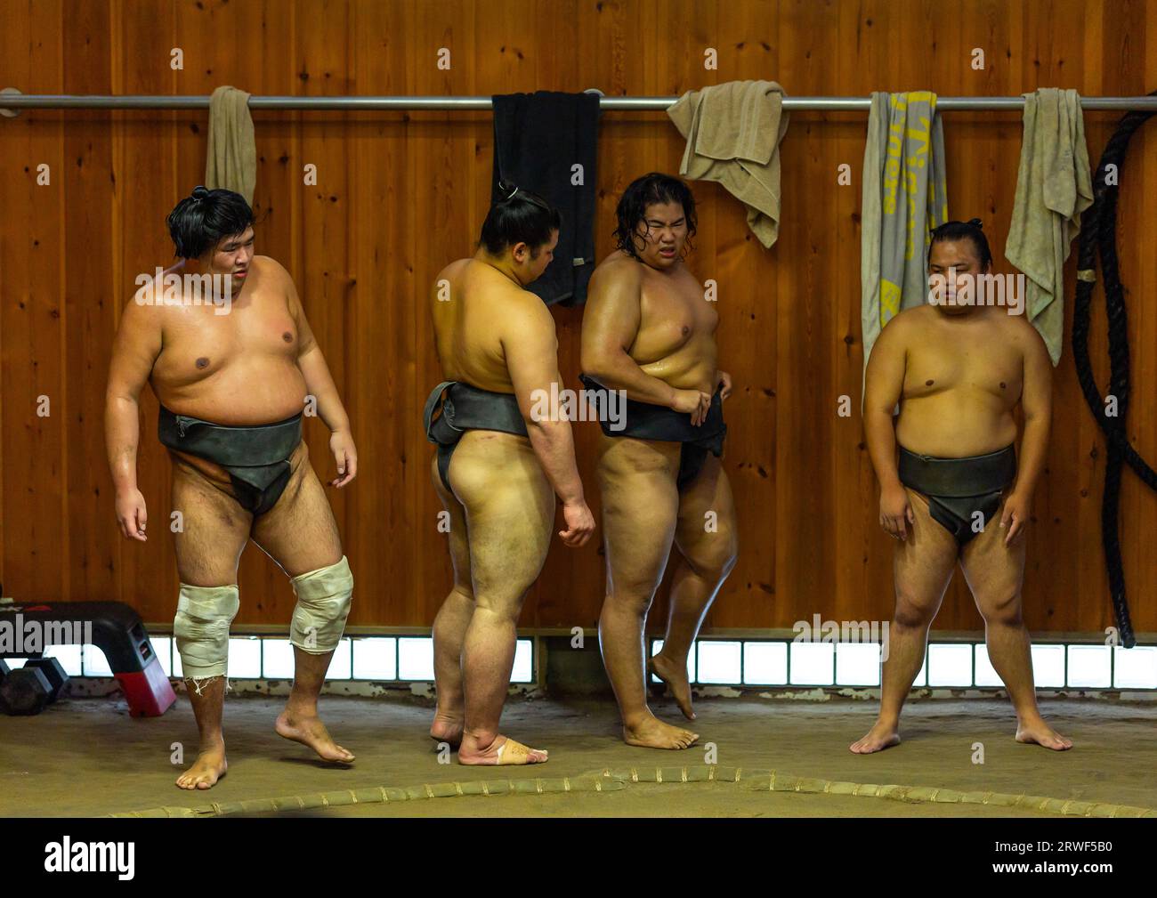 Sumo wrestlers training in Tatsunami Beya sumo stable, Kanto region, Tokyo, Japan Stock Photo