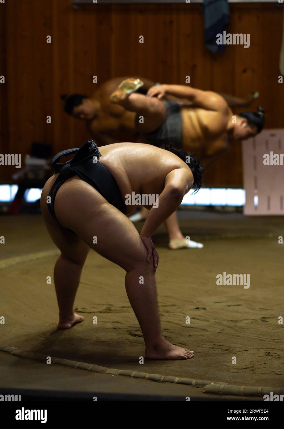 Shiko in Tatsunami Beya sumo stable, Kanto region, Tokyo, Japan Stock Photo