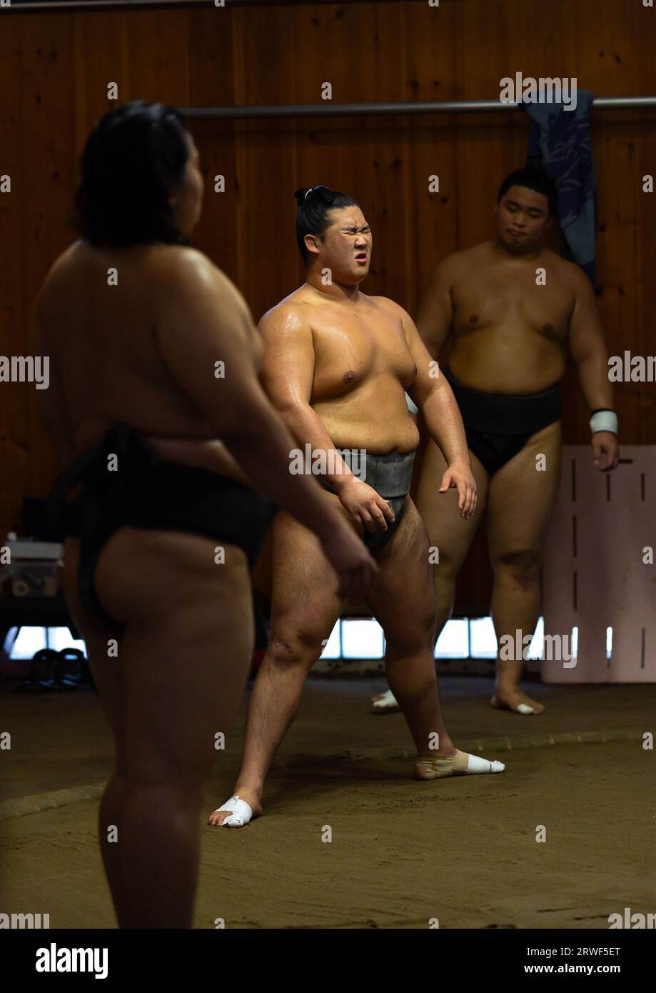 Sumo wrestlers training in Tatsunami Beya sumo stable, Kanto region, Tokyo, Japan Stock Photo