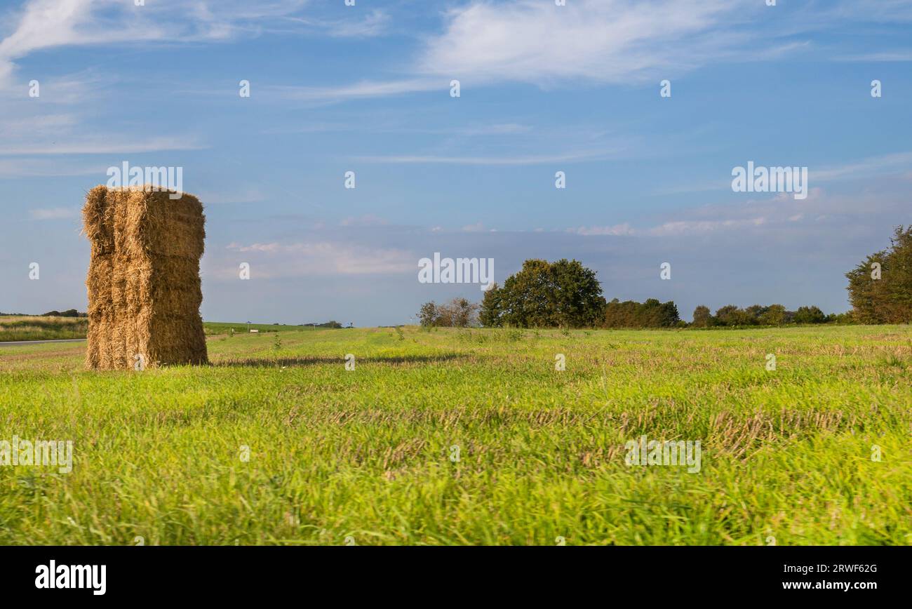 Agricultural site in Roskilde Denmark Stock Photo