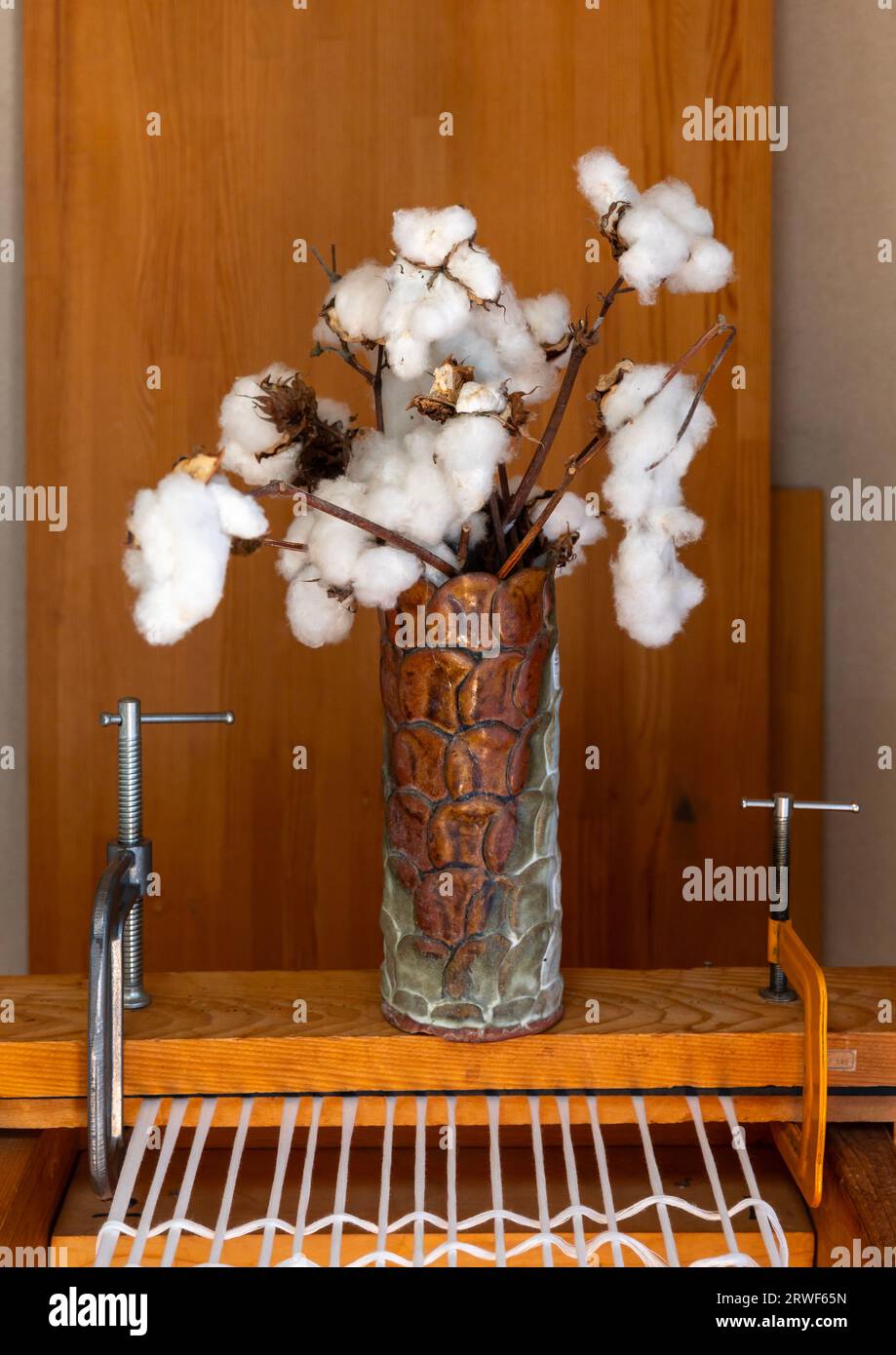 Cotton yarn spun in Aika Tanaka Kasuri Kobo Kyushu region, Chikugo, Japan Stock Photo