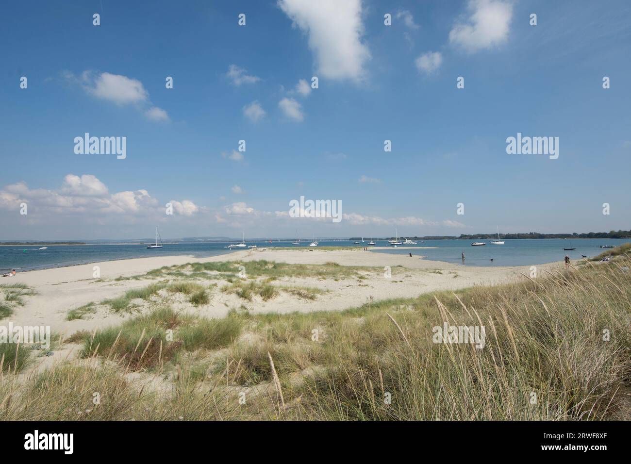 view at tip end of East Head sand dunes, view north into Chichester Harbour, West Sussex, tide in. September Stock Photo