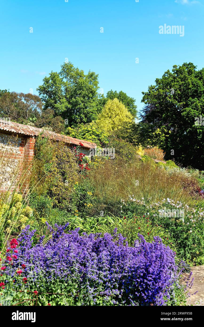 A mixed herbaceous border in a walled garden on a summers day Leckford estate, Stockbridge Hampshire England UK Stock Photo
