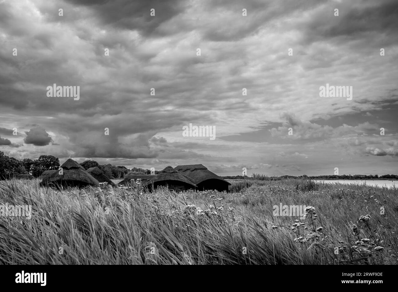Norfolk broads Hickling Broad nature reserve black+white landscape Stock Photo
