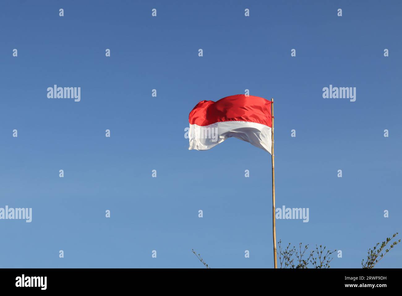 17 August 1945, Indonesian flags against sky background. Independence day concept Stock Photo