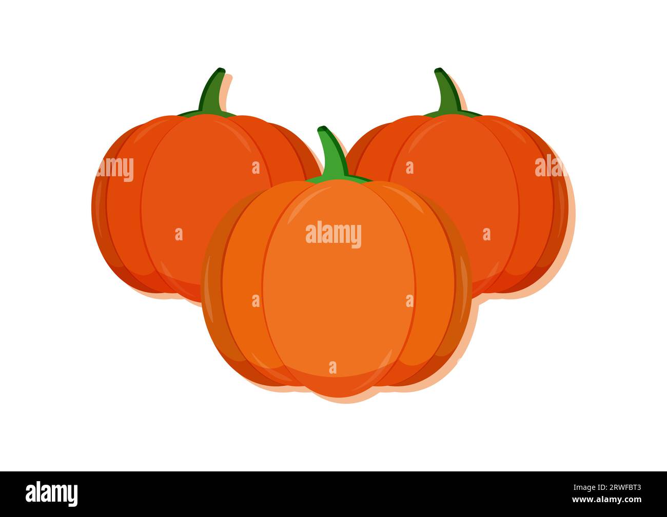 Vector illustration of pumpkins fresh vegetable. Delicious healthy food Stock Vector