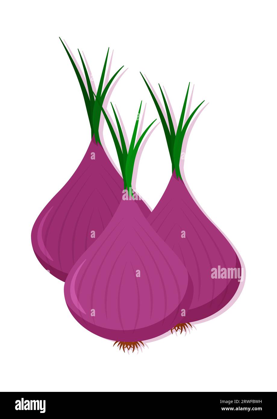 Vector illustration of red onion fresh vegetable. Delicious healthy food Stock Vector