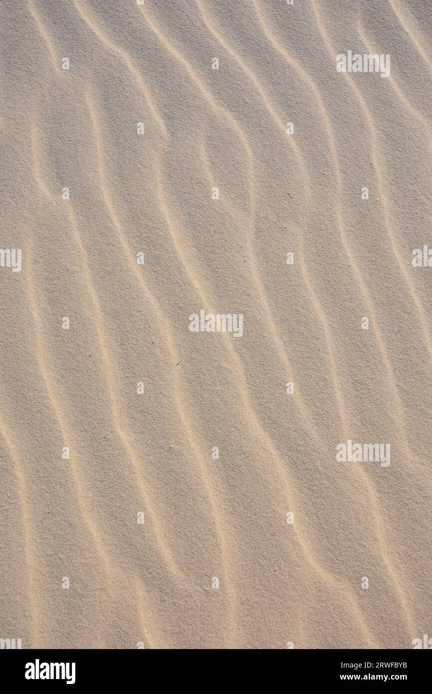 Wind patterns of white sand of a dune. Natural abstract textured background of sand in ripple wave pattern Stock Photo