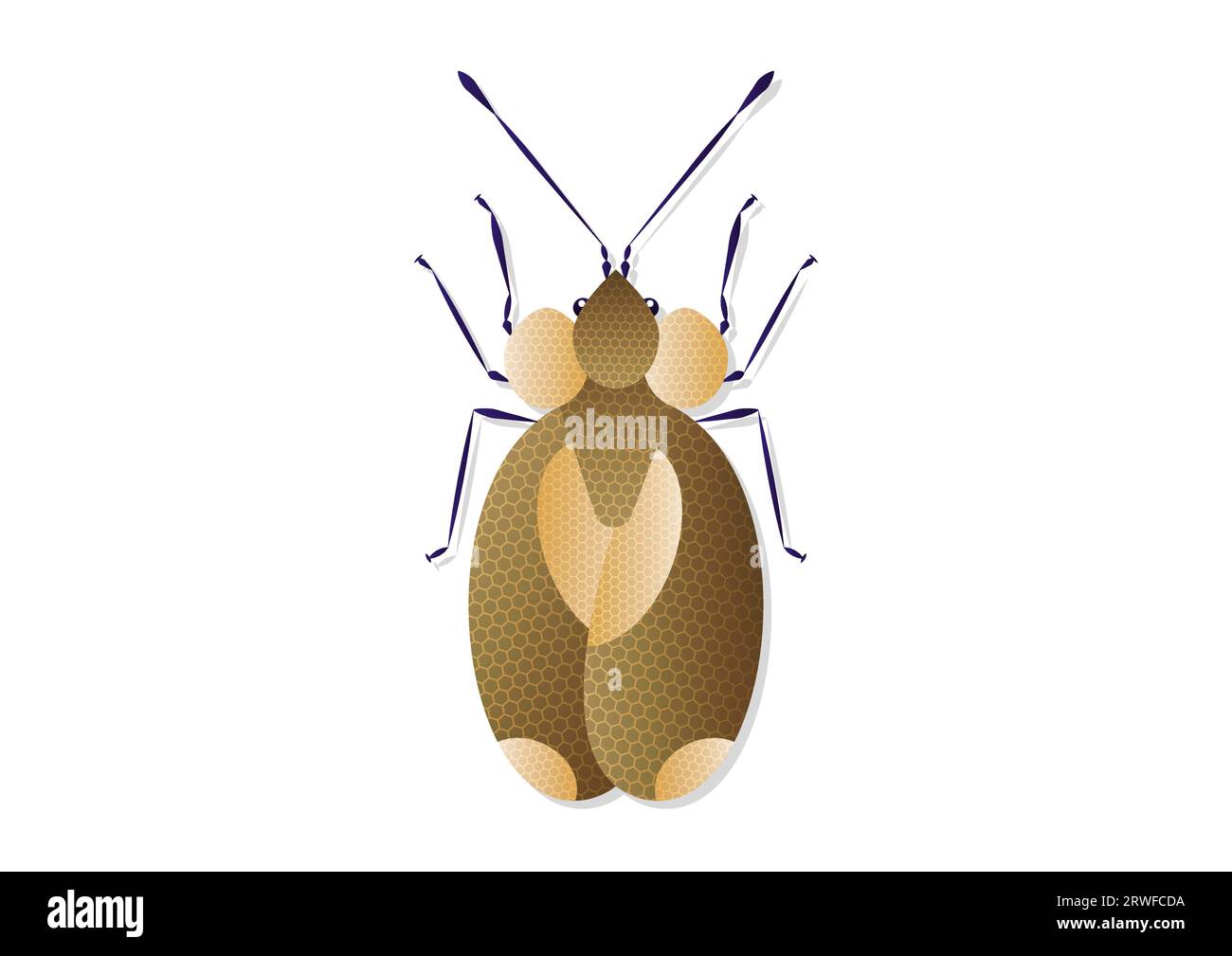Bug Stephanitis Pyri Vector Art isolated on White Background Stock Vector