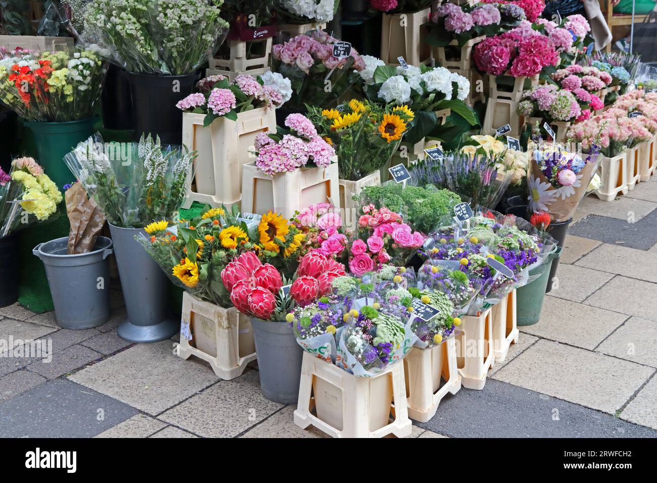 Flowers for sale on Florist's stall, Shambles Market, York Stock Photo