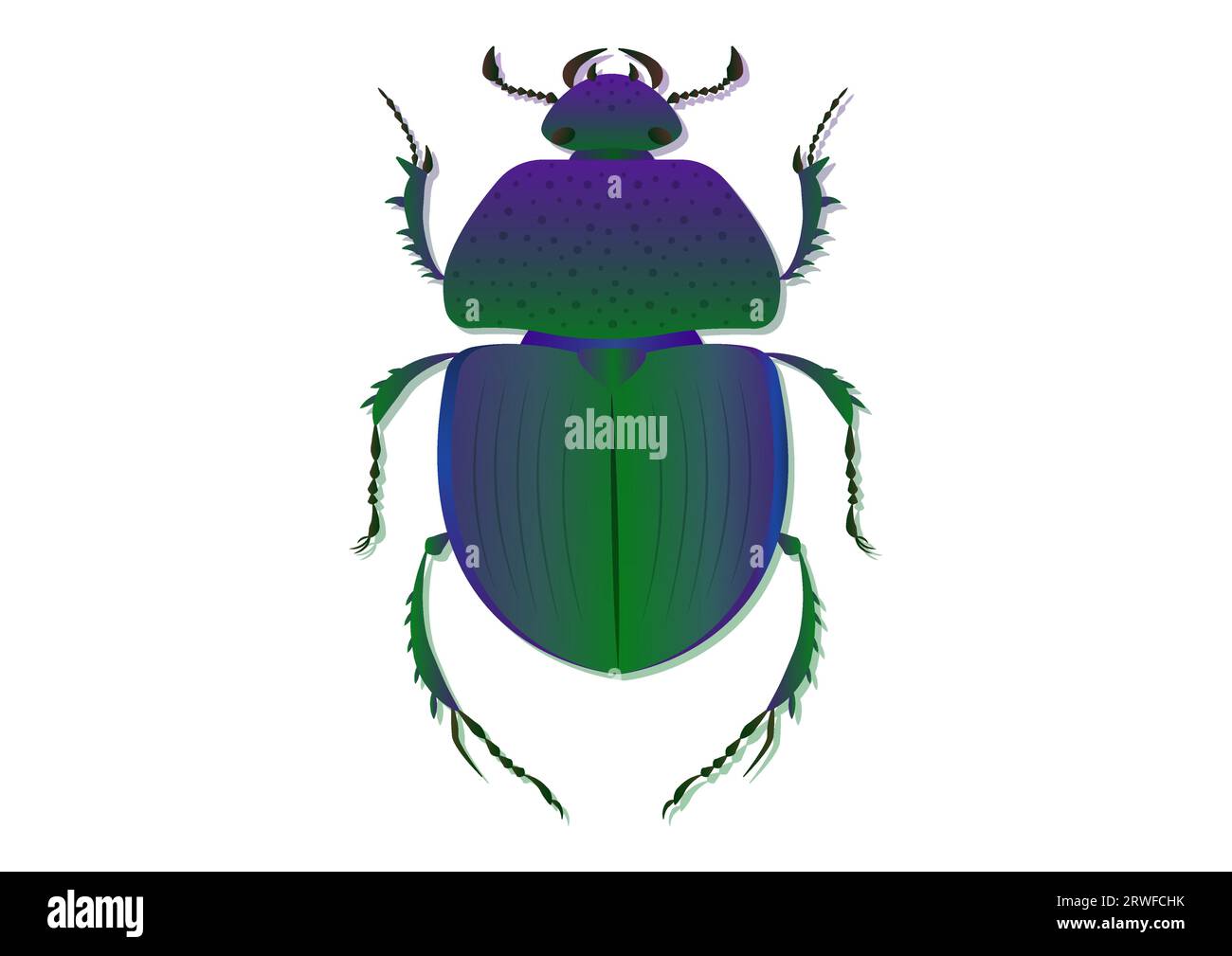 Trypocopris Vernalis Green Beetle Vector Art Isolated on White Background Stock Vector