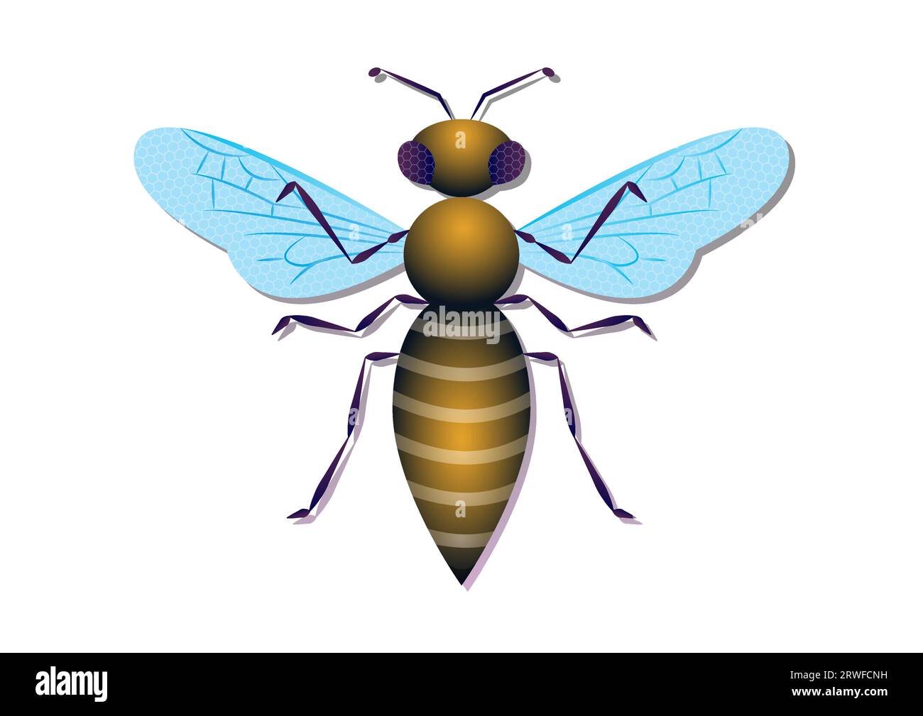 Hornet Vector Art Isolated on White Background Stock Vector