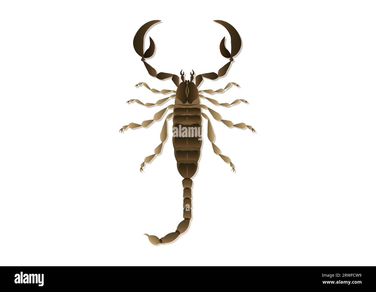 Scorpion Vector Art isolated on white background Stock Vector