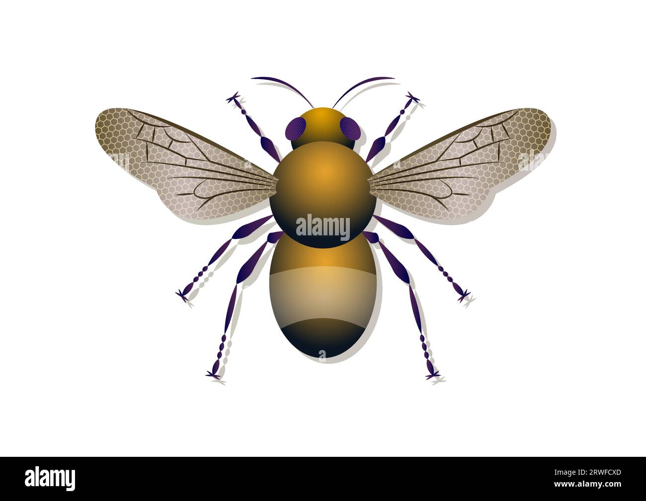 Bee Vector Art Isolated on White Background Stock Vector Image & Art ...