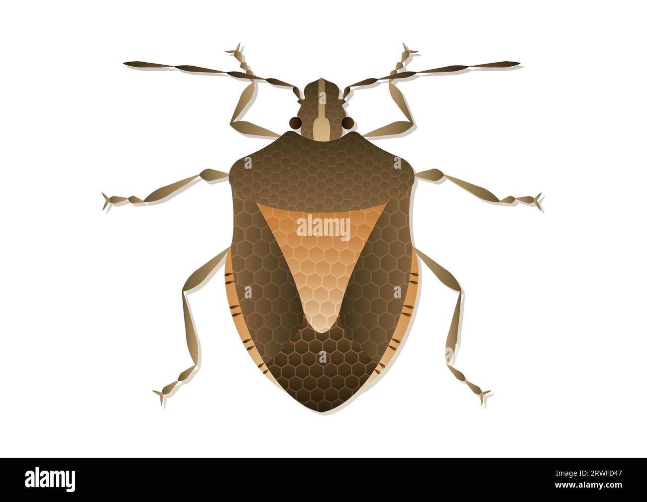 Stink Bug Vector Art isolated on White Background Stock Vector
