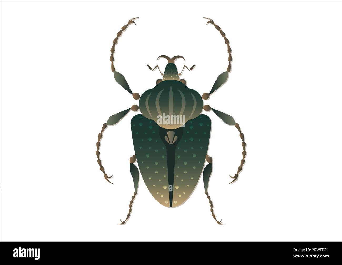 Goliathus Regius Beetle Vector Art isolated on White Background Stock Vector