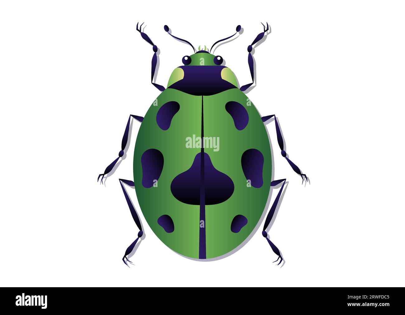 Green Beetle Vector Art. Green Ladybug Clipart Isolated on White Background Stock Vector