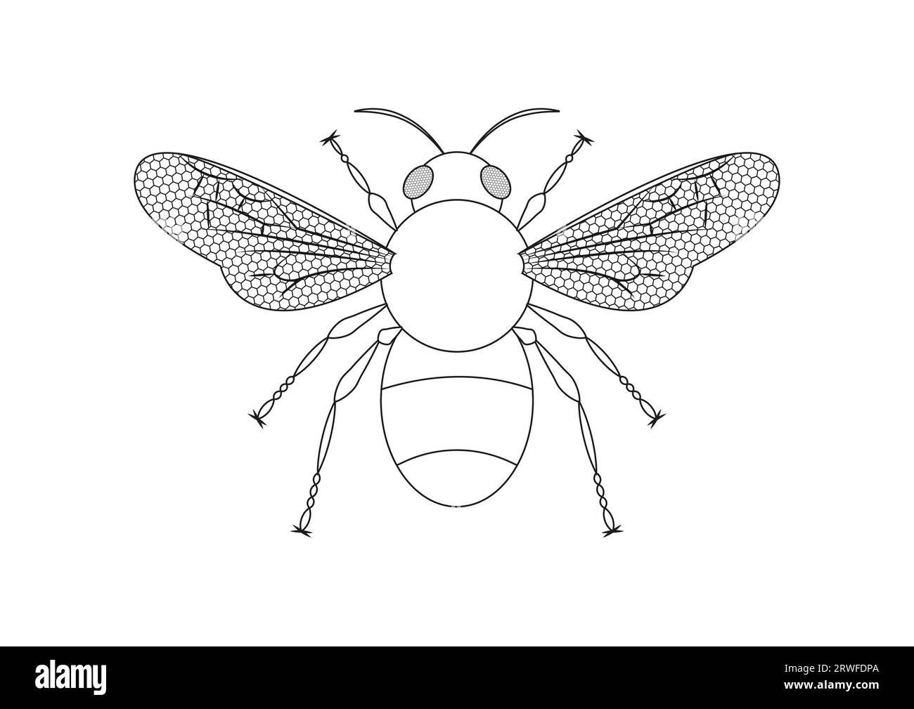 Black and White Bee Vector Clipart. Coloring Page of a Bee Stock Vector