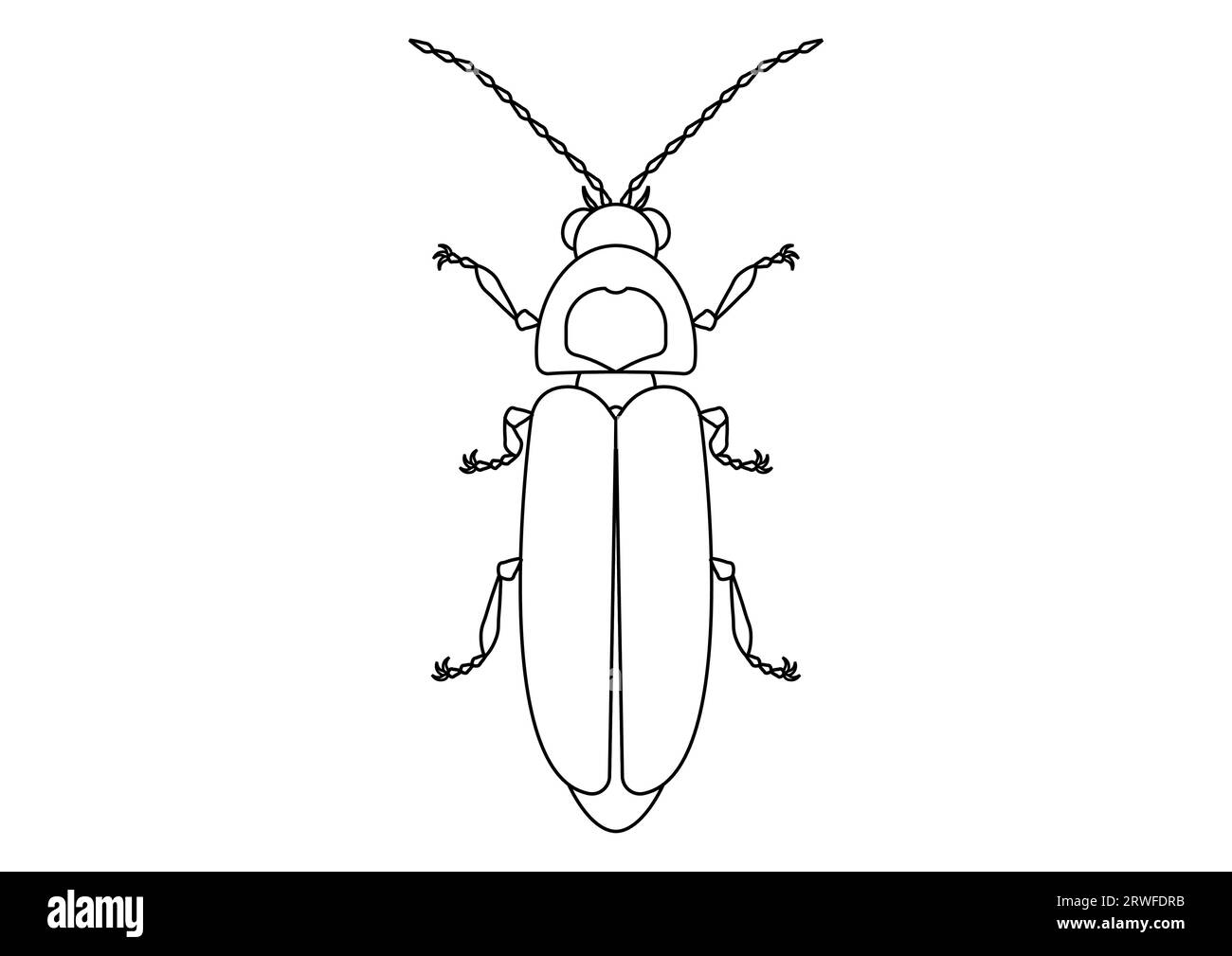 Black and White Firefly Clipart. Coloring Page of a Firefly Stock Vector