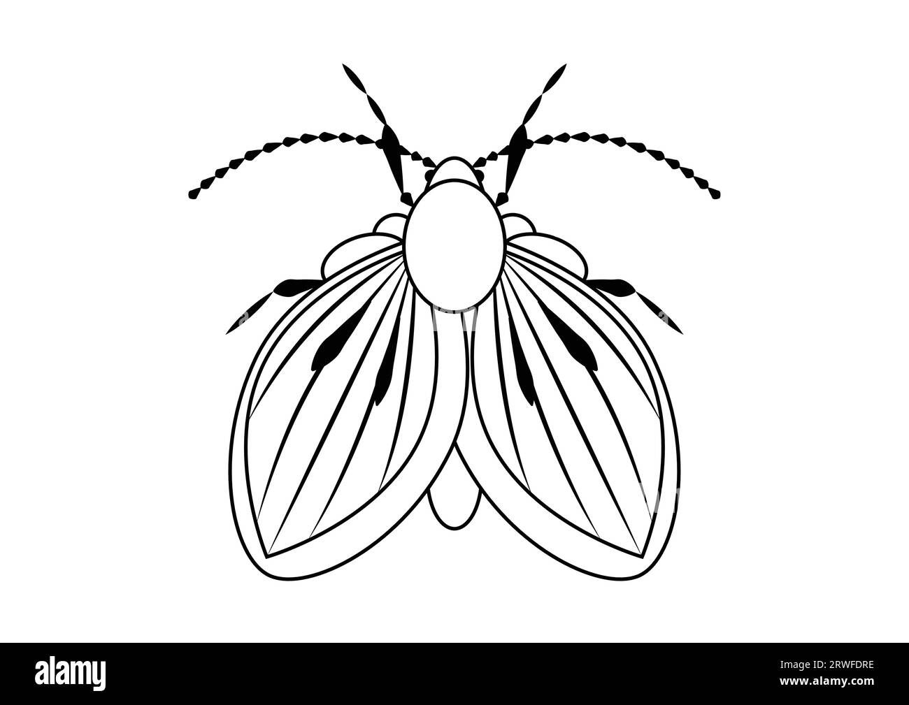 Black and White Moth Fly Insect Clipart. Coloring Page of a Moth Fly Insect Stock Vector