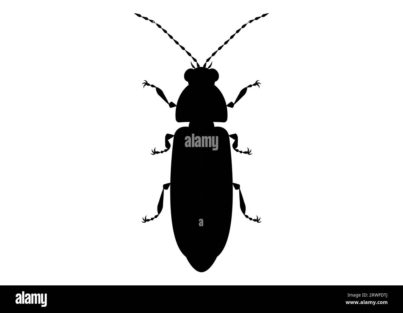 Black and White Firefly Clipart Stock Vector