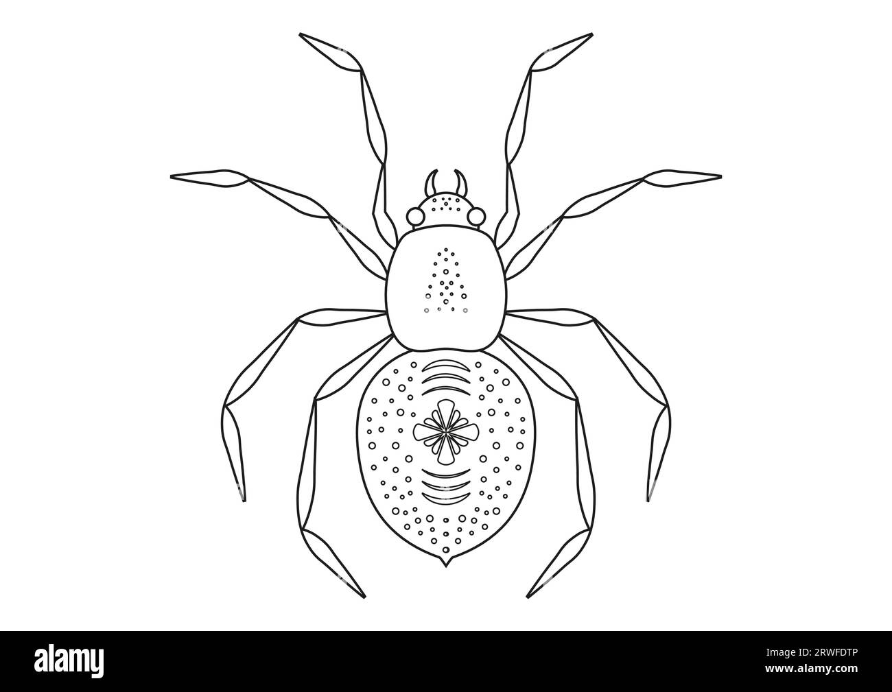 Black and White Spider Clipart Vector isolated on White Background. Coloring Page of a Spider Stock Vector