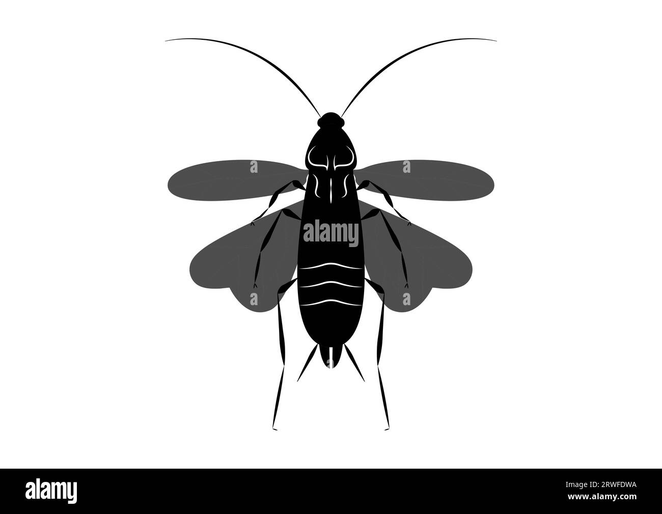 Black and White Flying Cockroach Clipart Vector isolated on White Background Stock Vector