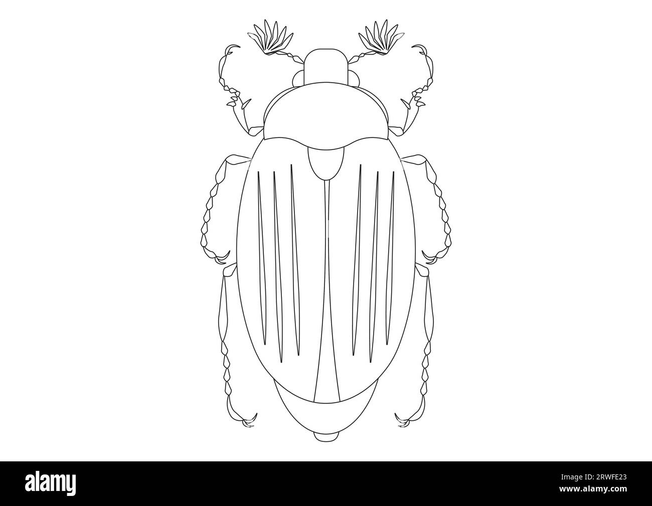 Black and White May Beetle Clipart Vector isolated on White Background. Coloring Page of a May Beetle Stock Vector