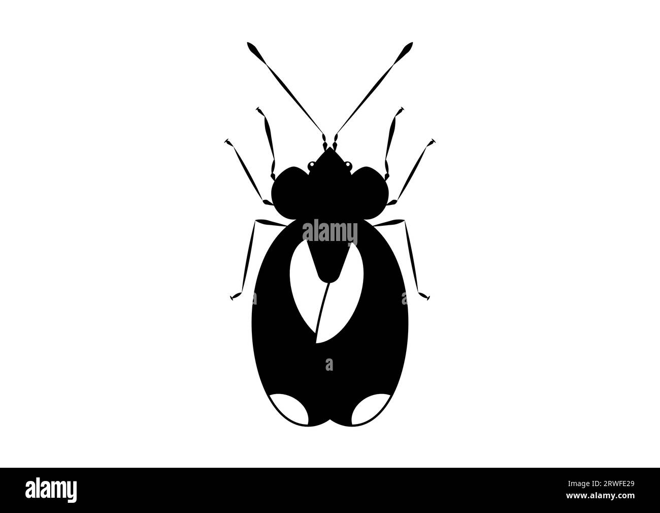 Black and White Bug Stephanitis Pyri isolated on White Background Stock Vector