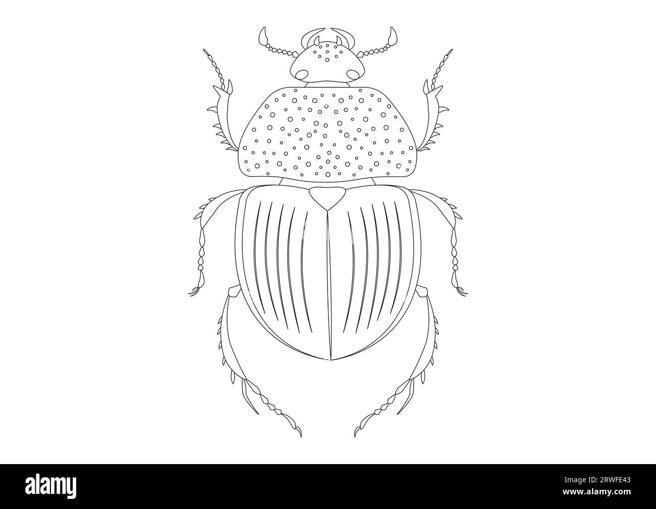 Black and White Trypocopris Vernalis Green Beetle Clipart. Coloring Page of Trypocopris Vernalis Green Beetle Stock Vector