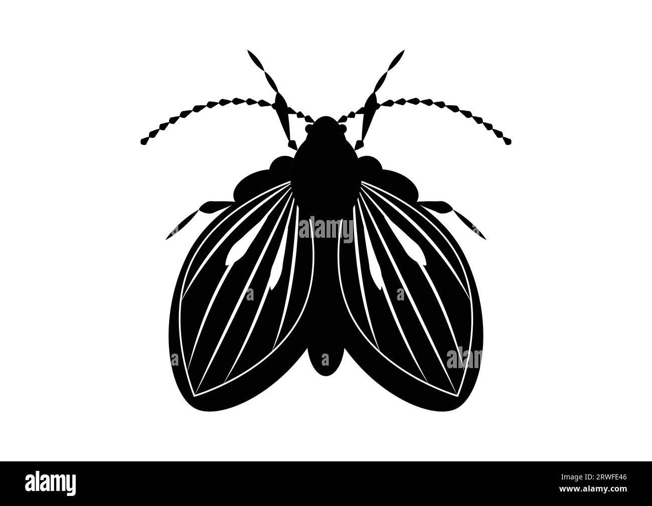 Black and White Moth Fly Insect Silhouette Clipart Vector Stock Vector