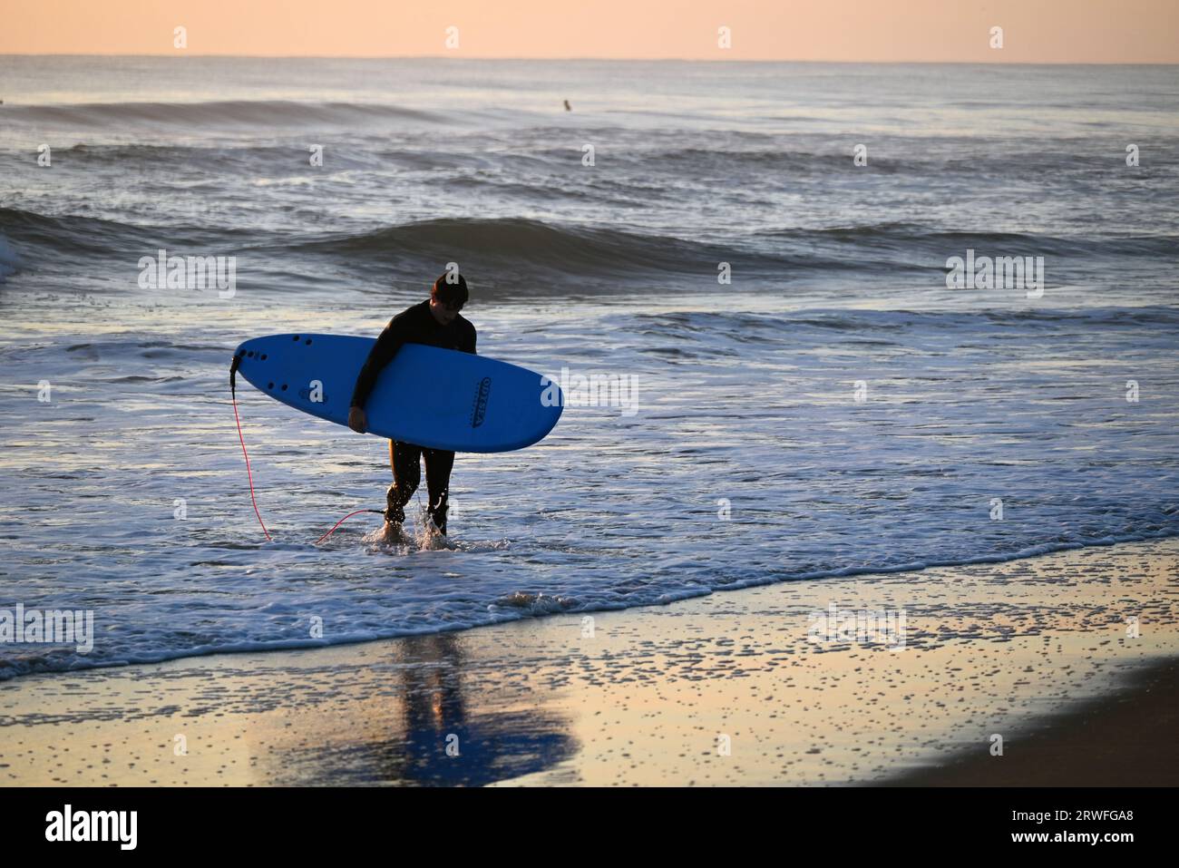 A surfer carries his board from the water after an early morning of surfing off Jennette's Pier in Nags Head, North Carolina. Stock Photo