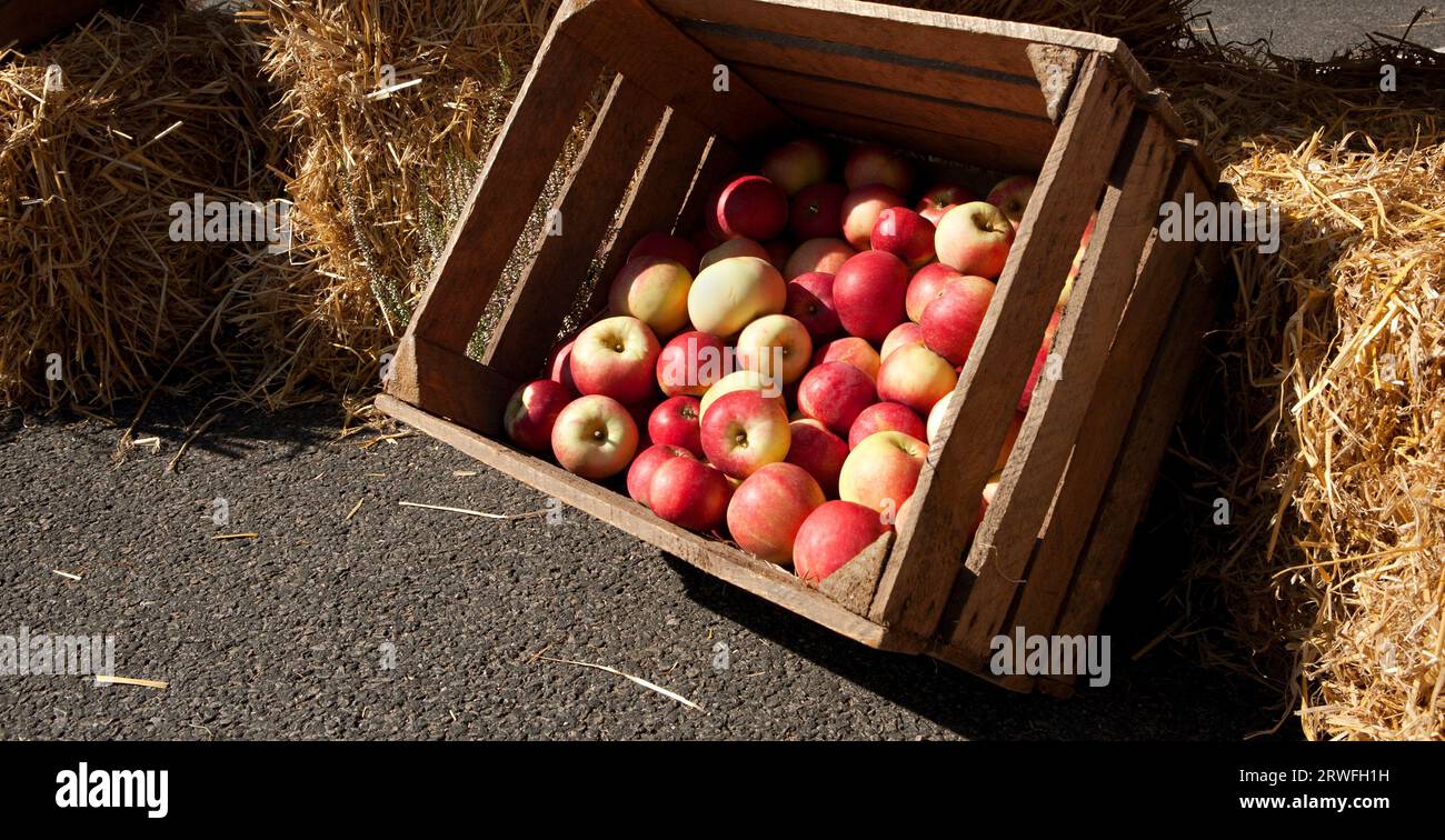 Red apples lying in a wooden box Stock Photo - Alamy
