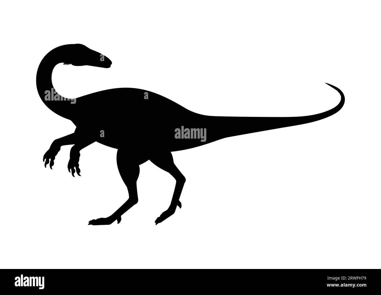 Coelophysis Dinosaur Silhouette Vector Isolated on White Background Stock Vector