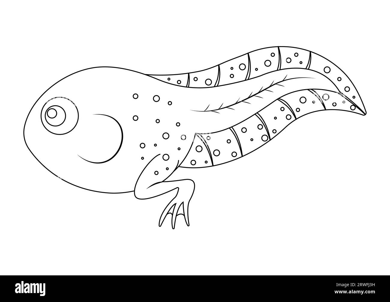 Coloring Page of Tadpole Cartoon Character Vector Illustration Isolated on White Background Stock Vector