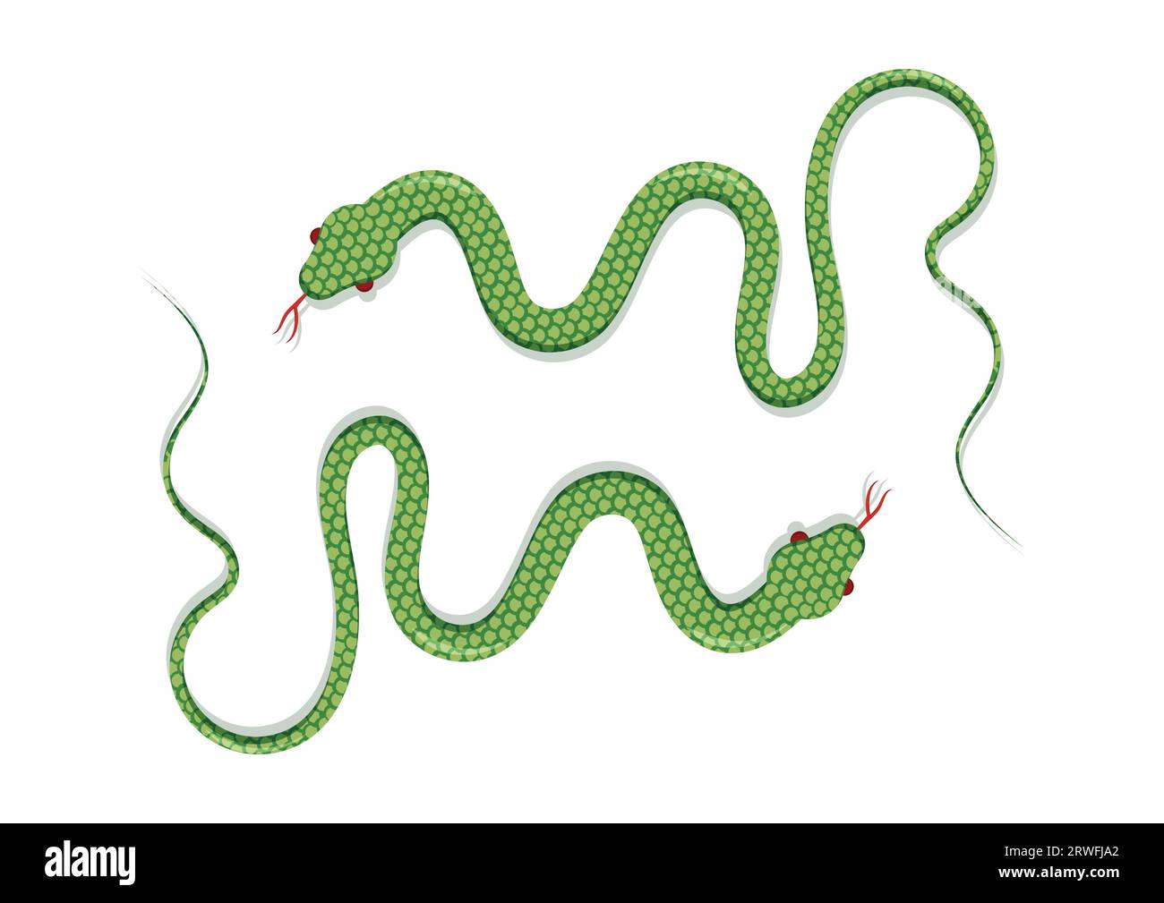 Snake Vector Flat Design Isolated on white Background. Vector Illustration of Two Green Snakes Stock Vector