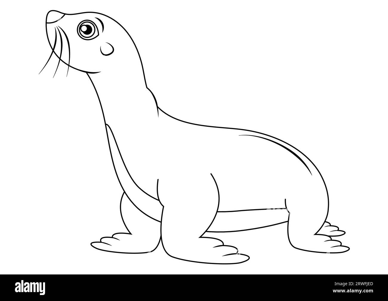 Black and white cute fur seal cartoon character vector. Coloring page of cartoon seal Stock Vector