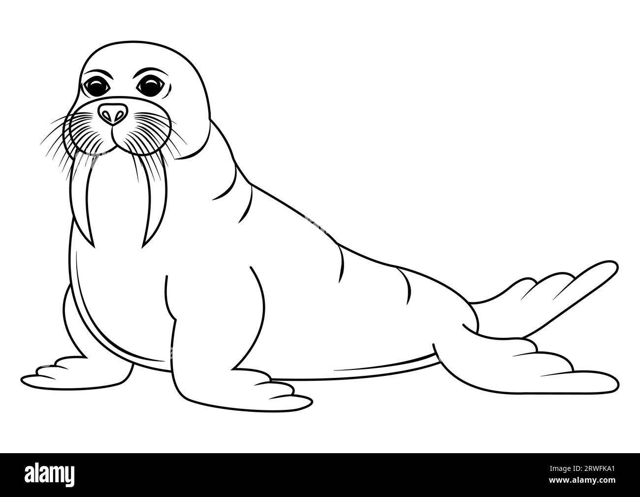 Black and white walrus cartoon character vector. Coloring page of cartoon walrus Stock Vector