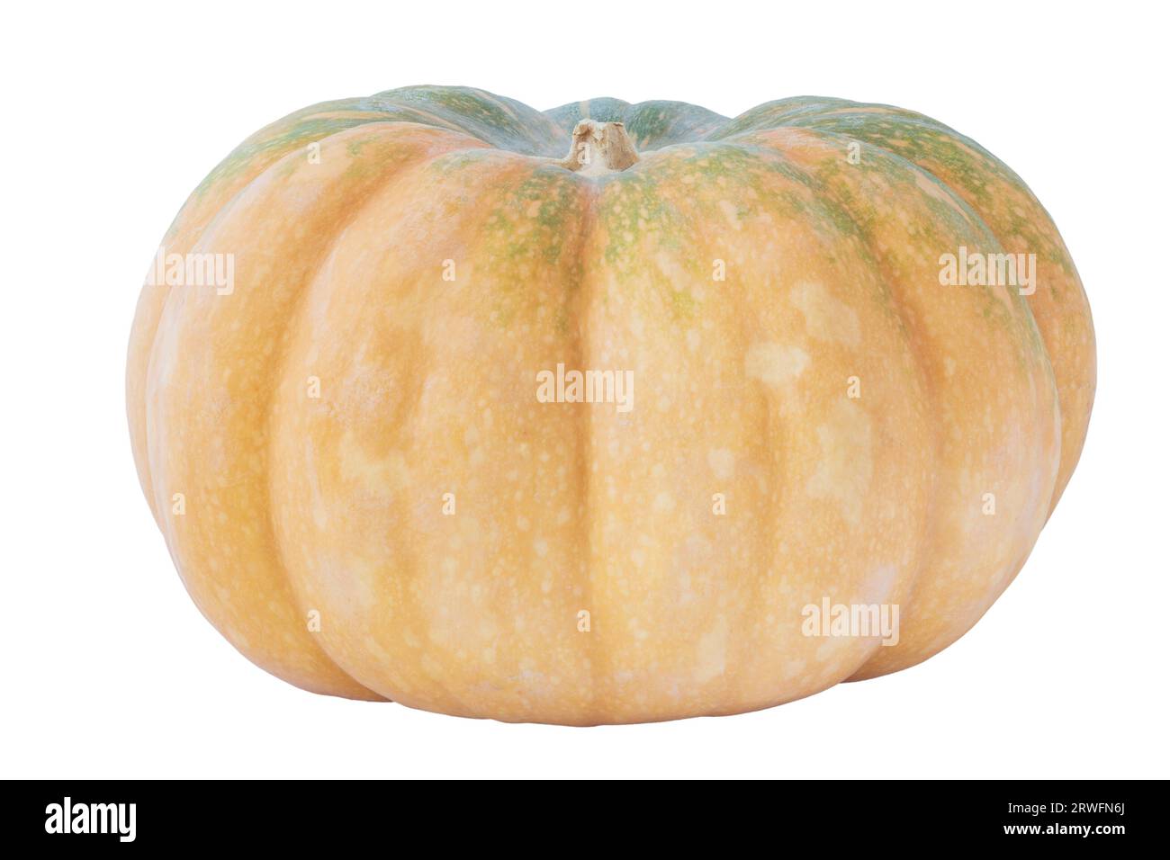 whole ripe pumpkin isolated on white background Stock Photo - Alamy