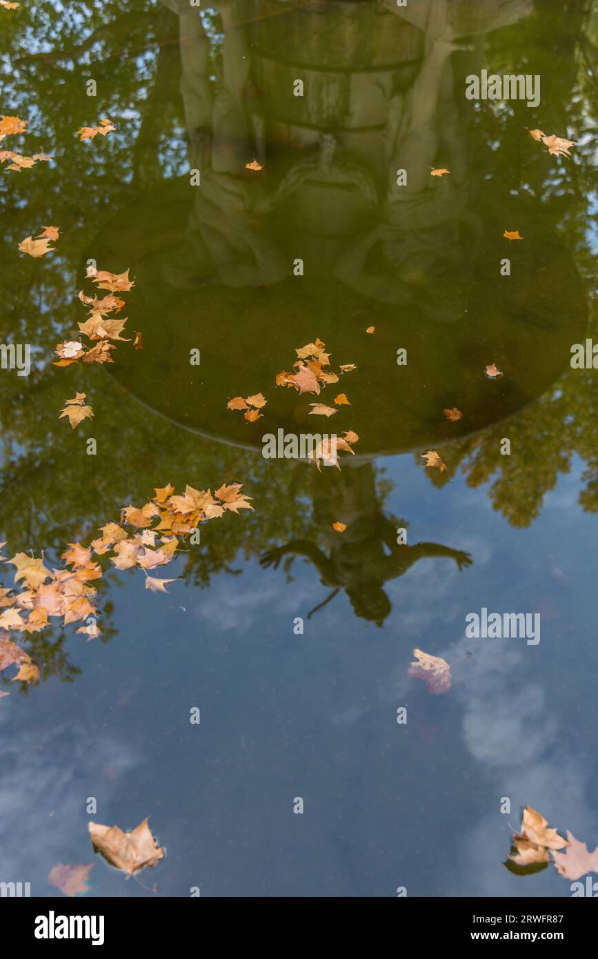 Fall leaves floating water surface hi-res stock photography and images ...