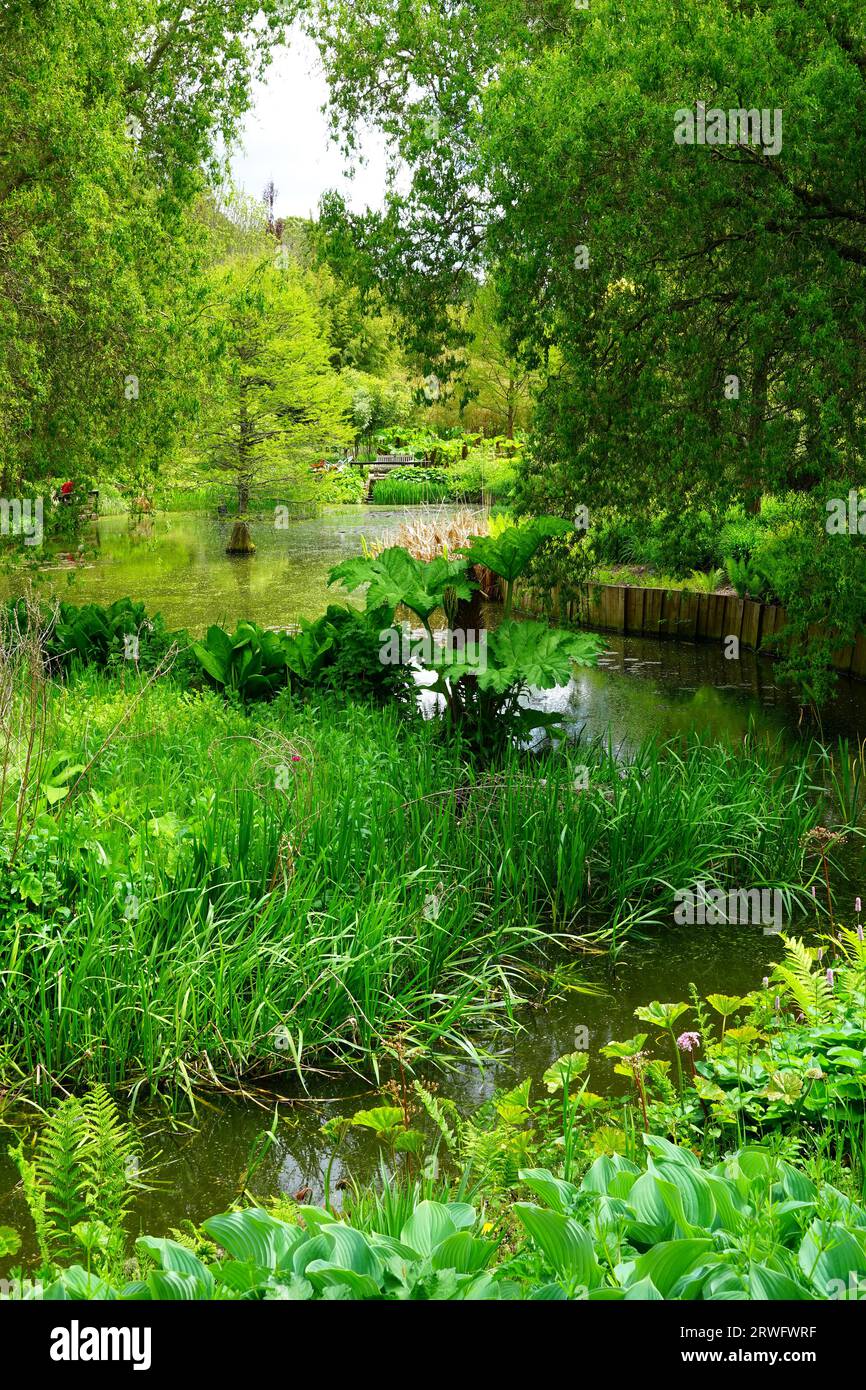 Sir harold hillier garden hires stock photography and images Alamy
