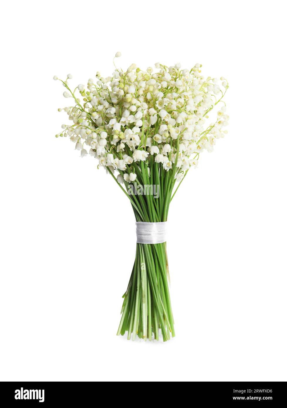 Beautiful lily of the valley bouquet on white background Stock Photo ...