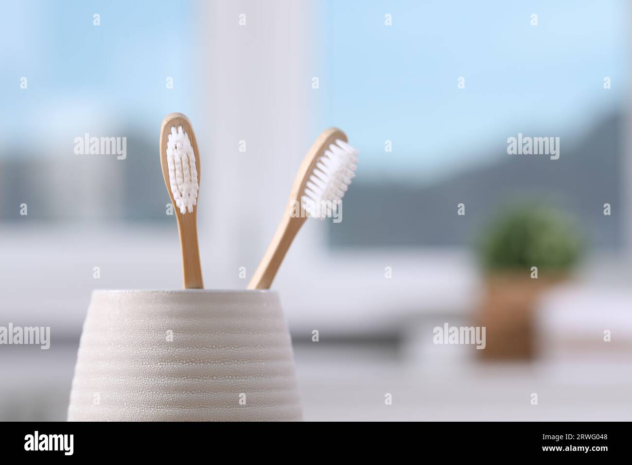 Bamboo toothbrushes in holder on blurred background, closeup. Space for ...