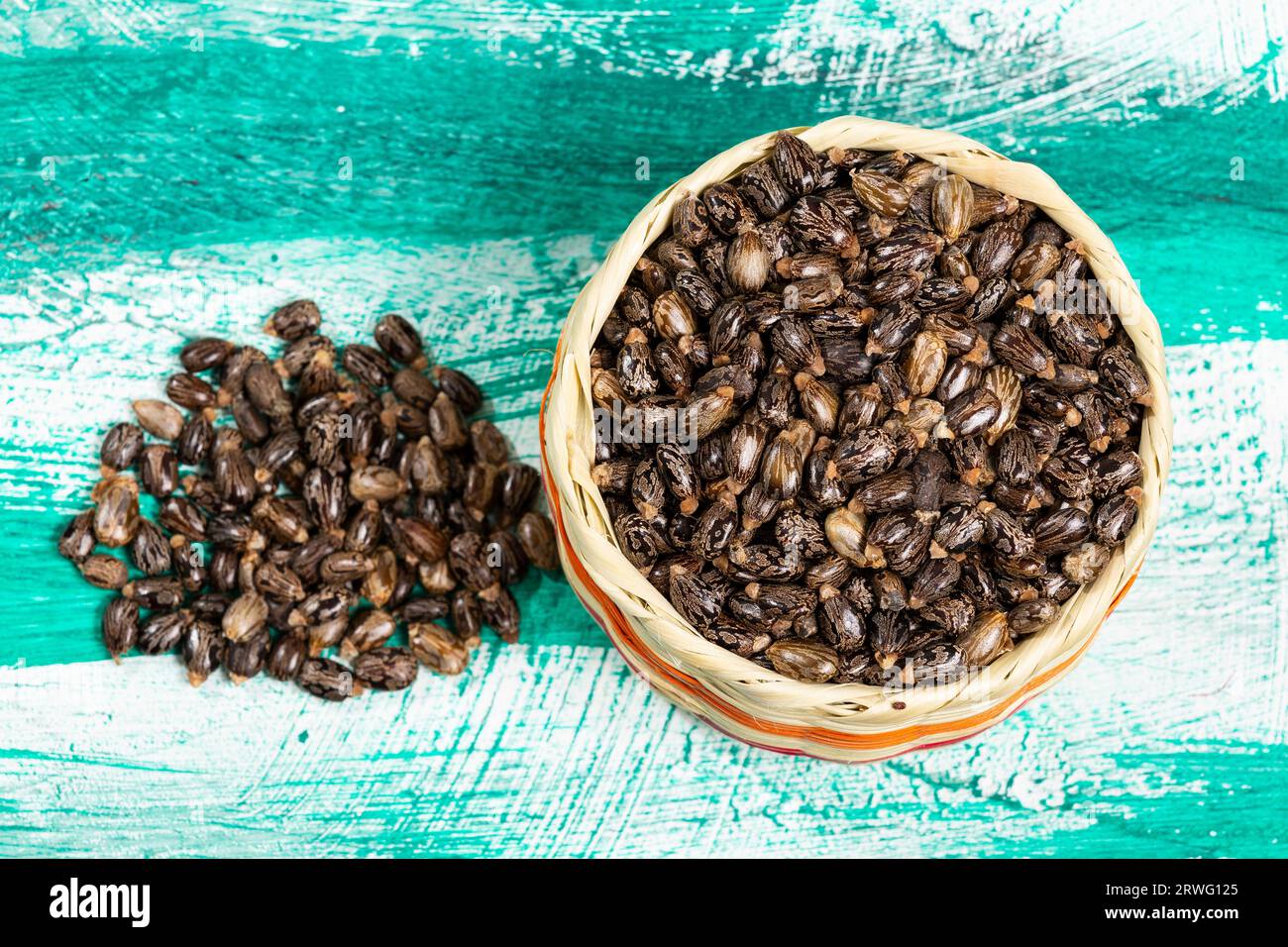 Ricinus Communis – Dried Seeds Of The Fruit Of The Castor Bean Plant. Stock Photo