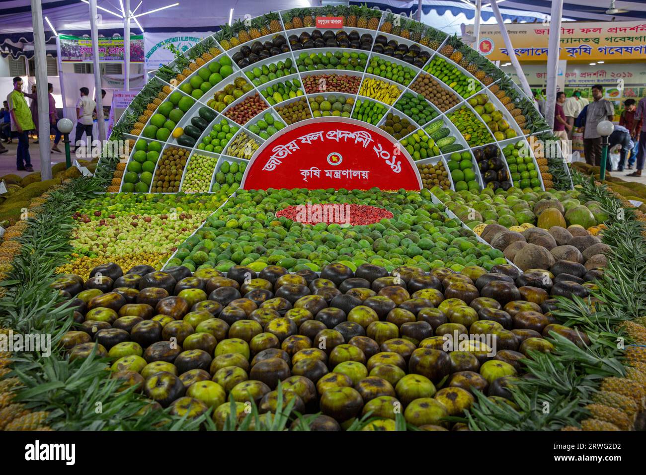 Different types of fruits on display at National Fruits Festival