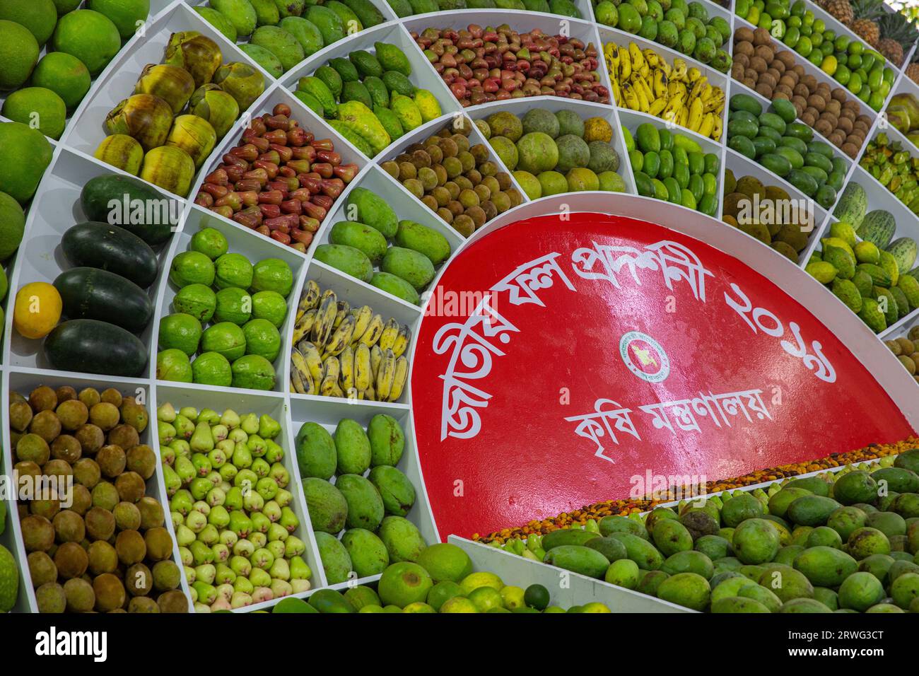 Different types of fruits on display at National Fruits Festival